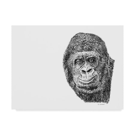 Let Your Art Soar 'Gorilla Line Art' Canvas Art,24x32